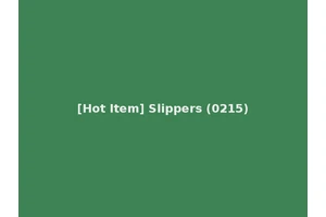 [Hot Item] Slippers (0215)