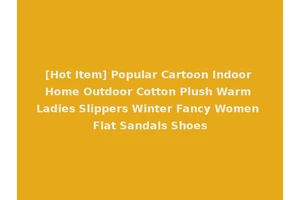 [Hot Item] Popular Cartoon Indoor Home Outdoor Cotton Plush Warm Ladies Slippers Winter Fancy Women Flat Sandals Shoes