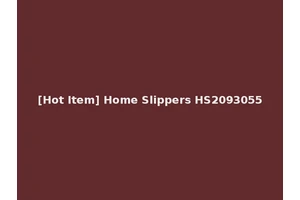 [Hot Item] Home Slippers HS2093055