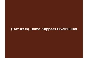 [Hot Item] Home Slippers HS2093048