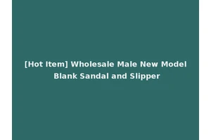 [Hot Item] Wholesale Male New Model Blank Sandal and Slipper
