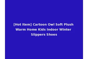 [Hot Item] Cartoon Owl Soft Plush Warm Home Kids Indoor Winter Slippers Shoes