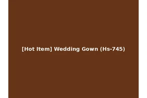 [Hot Item] Wedding Gown (Hs-745)