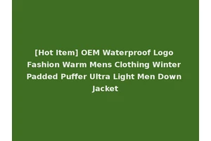 [Hot Item] OEM Waterproof Logo Fashion Warm Mens Clothing Winter Padded Puffer Ultra Light Men Down Jacket