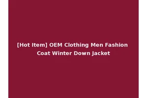 [Hot Item] OEM Clothing Men Fashion Coat Winter Down Jacket