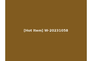 [Hot Item] W-20231058