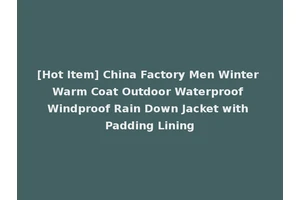 [Hot Item] China Factory Men Winter Warm Coat Outdoor Waterproof Windproof Rain Down Jacket with Padding Lining