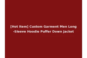 [Hot Item] Custom Garment Men Long-Sleeve Hoodie Puffer Down Jacket