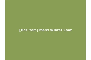 [Hot Item] Mens Winter Coat