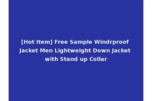 [Hot Item] Free Sample Windrproof Jacket Men Lightweight Down Jacket with Stand up Collar