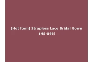 [Hot Item] Strapless Lace Bridal Gown (HS-846)