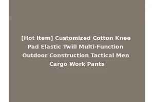 [Hot Item] Customized Cotton Knee Pad Elastic Twill Multi-Function Outdoor Construction Tactical Men Cargo Work Pants