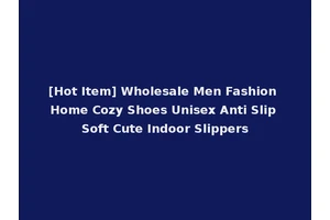 [Hot Item] Wholesale Men Fashion Home Cozy Shoes Unisex Anti Slip Soft Cute Indoor Slippers