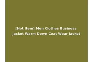 [Hot Item] Men Clothes Business Jacket Warm Down Coat Wear Jacket