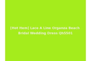 [Hot Item] Lace A Line Organza Beach Bridal Wedding Dress Qh5501