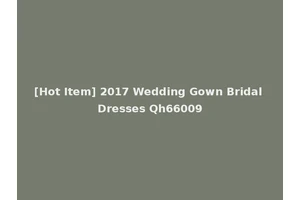 [Hot Item] 2017 Wedding Gown Bridal Dresses Qh66009