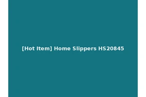 [Hot Item] Home Slippers HS20845