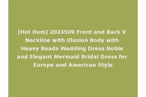 [Hot Item] 2023509 Front and Back V Neckline with Illusion Body with Heavy Beads Wedding Dress Noble and Elegant Mermaid Bridal Dress for Europe and American Style