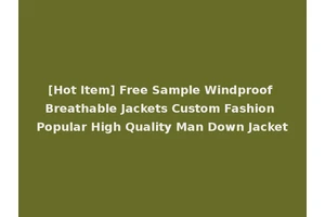 [Hot Item] Free Sample Windproof Breathable Jackets Custom Fashion Popular High Quality Man Down Jacket