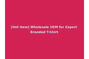 [Hot Item] Wholesale OEM for Export Branded T-Shirt