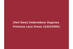 [Hot Item] Embroidery Organza Princess Lace Dress (G2015005)