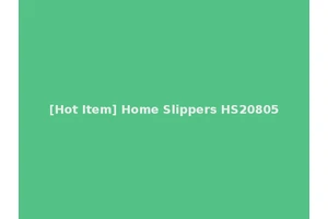 [Hot Item] Home Slippers HS20805