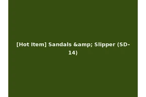 [Hot Item] Sandals &amp; Slipper (SD-14)