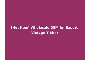 [Hot Item] Wholesale OEM for Export Vintage T Shirt