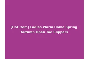 [Hot Item] Ladies Warm Home Spring Autumn Open Toe Slippers
