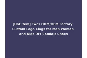 [Hot Item] Twcs ODM/OEM Factory Custom Logo Clogs for Men Women and Kids DIY Sandals Shoes