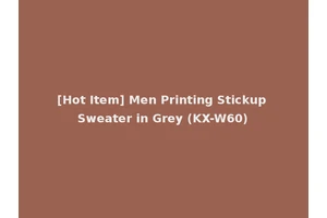 [Hot Item] Men Printing Stickup Sweater in Grey (KX-W60)