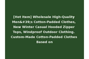 [Hot Item] Wholesale High-Quality Men's Cotton-Padded Clothes, New Winter Casual Hooded Zipper Tops, Windproof Outdoor Clothing. Custom-Made Cotton-Padded Clothes Based on