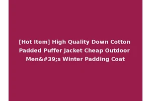[Hot Item] High Quality Down Cotton Padded Puffer Jacket Cheap Outdoor Men's Winter Padding Coat