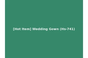 [Hot Item] Wedding Gown (Hs-741)