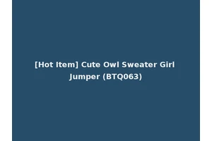 [Hot Item] Cute Owl Sweater Girl Jumper (BTQ063)