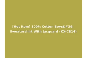 [Hot Item] 100% Cotton Boys' Sweatershirt With Jacquard (KX-CB14)