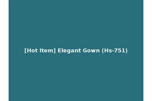 [Hot Item] Elegant Gown (Hs-751)