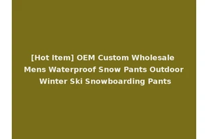 [Hot Item] OEM Custom Wholesale Mens Waterproof Snow Pants Outdoor Winter Ski Snowboarding Pants