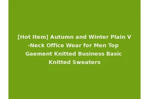 [Hot Item] Autumn and Winter Plain V-Neck Office Wear for Men Top Gaement Knitted Business Basic Knitted Sweaters
