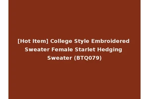 [Hot Item] College Style Embroidered Sweater Female Starlet Hedging Sweater (BTQ079)