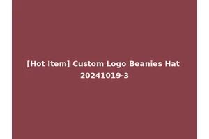 [Hot Item] Custom Logo Beanies Hat 20241019-3