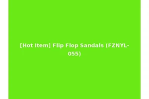 [Hot Item] Flip Flop Sandals (FZNYL-055)