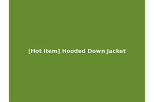 [Hot Item] Hooded Down Jacket