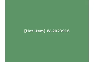 [Hot Item] W-2023916