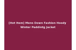 [Hot Item] Mens Down Fashion Hoody Winter Paddintg Jacket