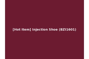 [Hot Item] Injection Shoe (BZI1601)