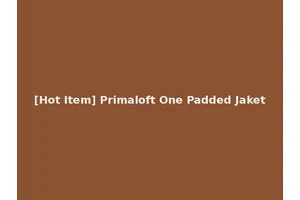 [Hot Item] Primaloft One Padded Jaket