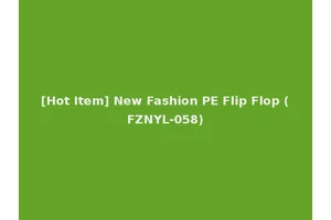 [Hot Item] New Fashion PE Flip Flop (FZNYL-058)