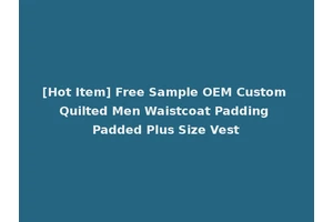 [Hot Item] Free Sample OEM Custom Quilted Men Waistcoat Padding Padded Plus Size Vest
