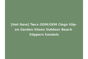 [Hot Item] Twcs ODM/OEM Clogs Slip-on Garden Shoes Outdoor Beach Slippers Sandals